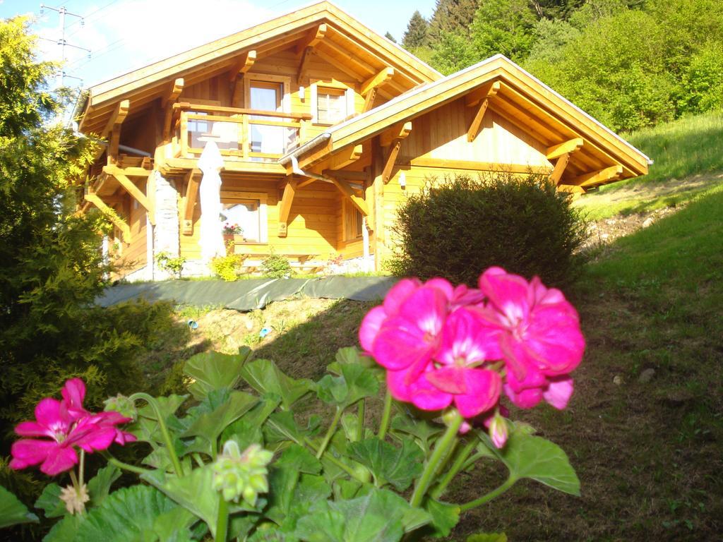 Les Chalets Des Chatelmines La Bresse Ngoại thất bức ảnh