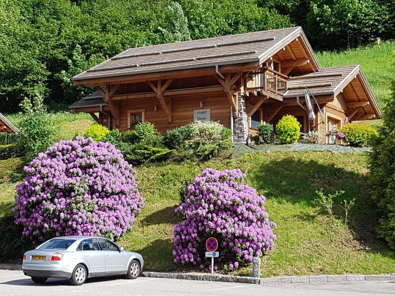 Les Chalets Des Chatelmines La Bresse Ngoại thất bức ảnh